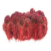 200 pcs Natural Pheasant Plumage Feathers 2-3 Inches Plumage Feathers for Sew...