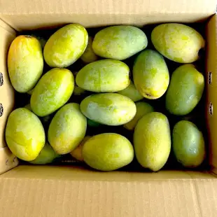 【農頭家】屏東瑪家特大土芒果18顆5斤裝x2盒(外銷果園品質_髮絲級纖維)