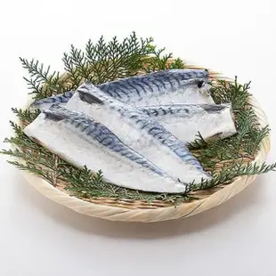 【好神】台灣野生鯖魚一夜干20片組(170g/片)