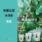 ~衣索匹亞~古吉~咖啡豆((水洗豆系列))☆★萊茵板凳★☆精品咖啡豆專賣~自家烘焙~