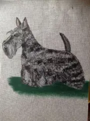 Schnauzer Hand Painted Needlepoint Canvas Ornament/Schnauzer