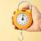 High Precision Stainless Steel Hook Scale Accurate Portable Hanging