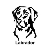 Labrador Decal for Yeti | Decal for Car | Personalized Decal with Dog's Name