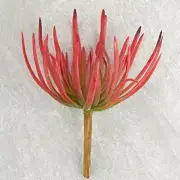 Spikey Red Artificial Succulent Pick for Floral Arranging, Garden Creation