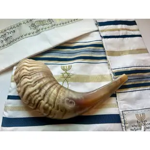 以色列 號角 屬靈兵器 綿羊角 原始角 shofar ram’s horn 吹角節 猶太新年 羊角號 基督教 猶太教