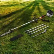 Giantz 62CC Pole Chainsaw Hedge Trimmer 12in Chain Saw 5.6m Long Reach