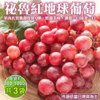 在飛比找momo購物網優惠-【WANG 蔬果】秘魯紅地球葡萄(3袋_800-1000g/