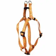 Yellow Dog Design Cleo Orange Step-in Dog Harness 1" Wide and Fits Chest Circum