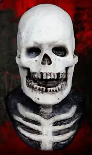 "Skeleton" Silicone Mask Scary Hand Made, Halloween High Quality, Realistic,