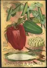 bar pub decor wall poster wall flower vegetable packet retro poster