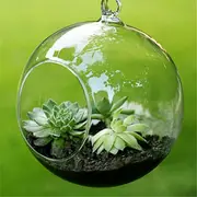 12Cm 2Pcs Hanging Glass Ball Vase Flower Planter Pot Terrarium Container Home Garden