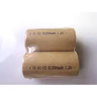 在飛比找蝦皮購物優惠-NI-CD SC 2500mah 1.2V 2500MAH 