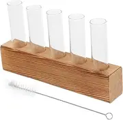 CIMAXIC 1 Set Hydroponic Plant Tube with Stand Base Test Tubes for Home Decor Office Arrangement and Special Occasions Creative Desktop Vase for Flower Propagation