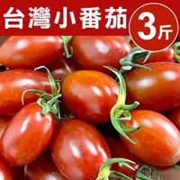 在飛比找momo購物網優惠-【甜露露】台灣小番茄3台斤x1盒(3台斤±10%)