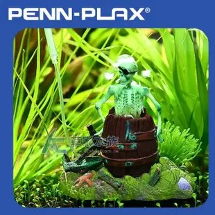 【AC草影】PENN-PLAX 龐貝 酒桶之王古拉格斯【一個】