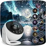 Planetarium Projector for Bedroom, 13 in 1 Star Projector Galaxy Light, Ceiling Night Light Milky Way Mood Lighting with Timer, LED Space Galaxy Lamp Bedroom Room Decor for Adults Kids - White