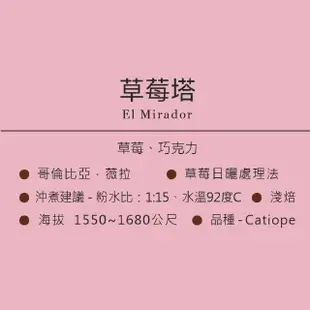 【想望咖啡】草莓塔 咖啡浸泡包10入/盒(日本TRUNK COFFEE 聯名精品咖啡)