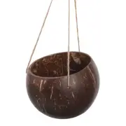 Coconut Shell Hanging Flower Pot Baskets for Plants Indoor Planter