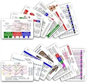 Complete EMS Horizontal Badge Card Set - 13 Cards