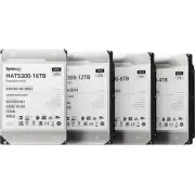 Synology HAT5300-4T 4 TB Hard Drive - 3.5" Internal - SATA (SATA/600)
