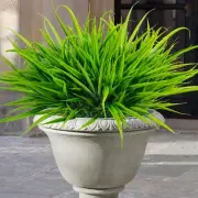 6 Bundles Artificial Outdoor Plants UV Resistant Fake Grass Plants Faux Plast...