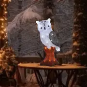 Acrylic Owl