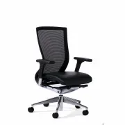 Balance Executive Chair