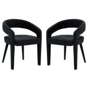 Eisha Velvet Dining Chair (Set of 2)