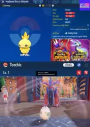 Pokemon Scarlet/Violet ✨SHINY TORCHIC EGG 6IV Jolly Hatch Your Egg TRADE