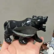380g Natural Black Agate Quartz Hand Carved Tiger Crystal Skull Decor Gift