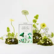 Davroe Volume Senses Mother's Day Trio Pack