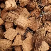 COCONUT HUSK DRY CHIPS Coco Coir Natural Growing Media for Orchids and Anthurium
