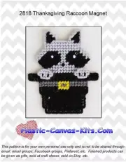 Thanksgiving Raccoon Magnet-Plastic Canvas Pattern or Kit