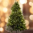 LED Fairy Light Romantic String Light for Anniversary Birthday Xmas Tree