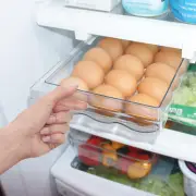 Refrigerator Egg Drawer Transparent Egg Container for Refrigerator ingenious