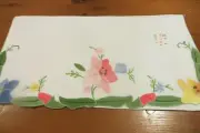 HANDERCHIEF FOLDER Vintage Applique/White NWT ~