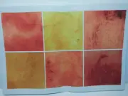 Rare Colordrift Watercolors Placemats - Set of 6 Red 13" x 19"