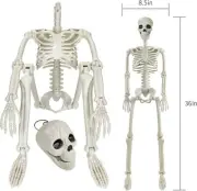 36" Posable Human Skeleton Decorations for Halloween Party Decor, Haunted House