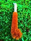 Long handle Cleaning Brush Glass Bottle Scrubbing Kitchen Cleaner free shipping