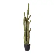 [Sleeping Giant] Saguaro Cactus Potted Plant Green - 30cm x 30cm x 152cm