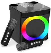 Karaoke Machine for Adults and Kids with 2 Wireless Microphones,Portable