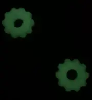 Glow In The Dark EDC Lanyard Bead, USA Made, 2 Pack