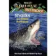 Magic Tree House Fact Tracker #32: Sharks and Other/Mary Pope Osborne【三民網路書店】