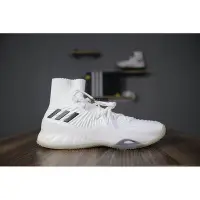 在飛比找Yahoo!奇摩拍賣優惠-【正品】ADIDAS CRAZY EXPLOSIVE 17 