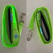 Light Up, LED, Rechargeable Dog Lead