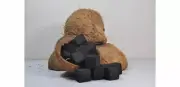 Hookah Shisha Coconut Shell Charcoal Coal 100% Natural 72 Cubes FREE SHIPPING