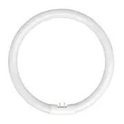 22w Fluorescent T5 Globe Cool White 4200k LC22WT5EB