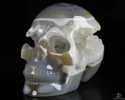 4.0" Premium Brazilian Agate Geode Carved Crystal skull with Led Stand, Healing
