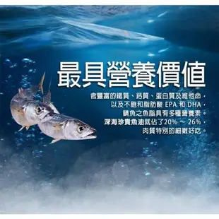 築地一番鮮-厚片超大油質豐厚挪威薄鹽鯖魚8片免運組(210g片)