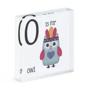 Letter O Is For Owl Acrylic Photo Block Frame Funny Alphabet Cute Animal